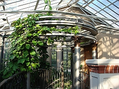 436 Longwood Gardens [2008 August 23]